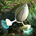 PLNT01Environment
